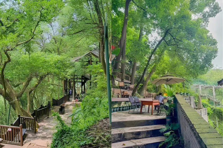Huangjueya Ancient Street – phố cổ dưới tán cây ở Nam Sơn Trùng Khánh