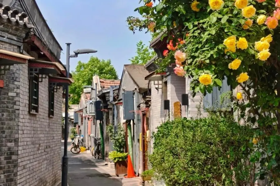 Kinh nghiệm tham quan hutong Bắc Kinh