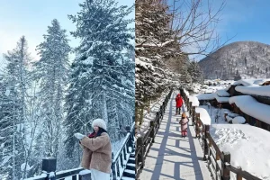 Ngắm cảnh núi Bổng Chùy