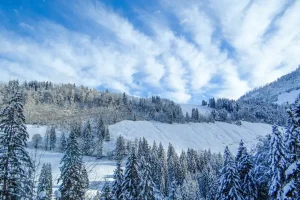 Thảo nguyên trên không Nalati Tân Cương