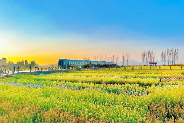 Tour Du Lịch Lệ Giang - Trang Trại Hoa Vân Nam