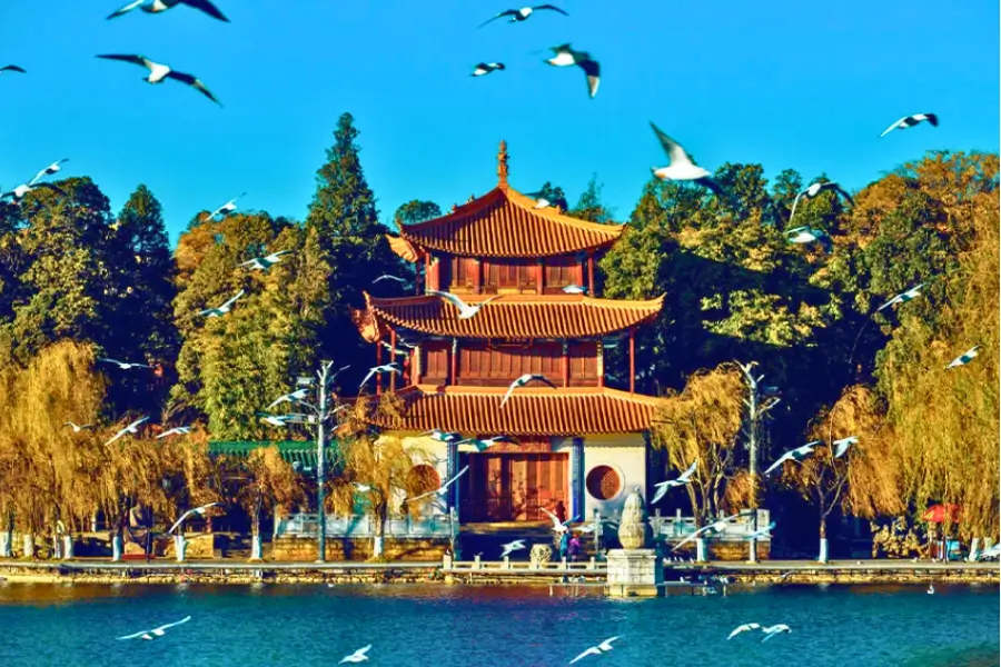 Tour Du Lịch Trung Quốc Tháng 11 - Vân Nam (Côn Minh - Đại Lý - Lệ Giang)