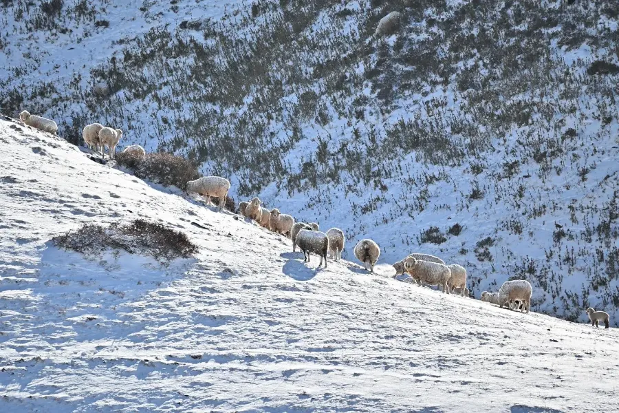 dai-hai-thao-son-van-nam-1 (1) Đại Hải Thảo Sơn trong tour du lịch trung quốc