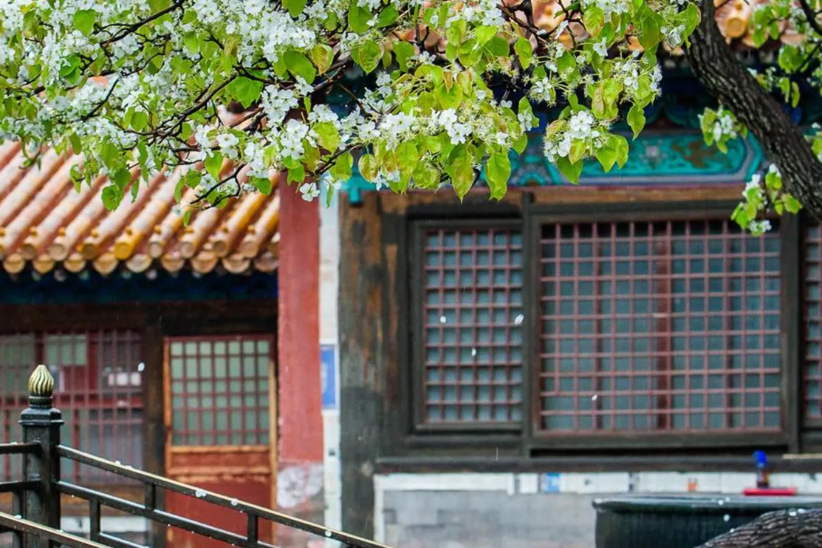 Thời tiết Bắc Kinh vào dịp Tết