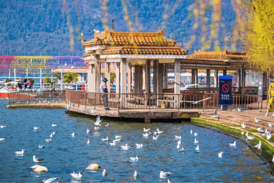 ho-dien-tri Hồ Điền Trì