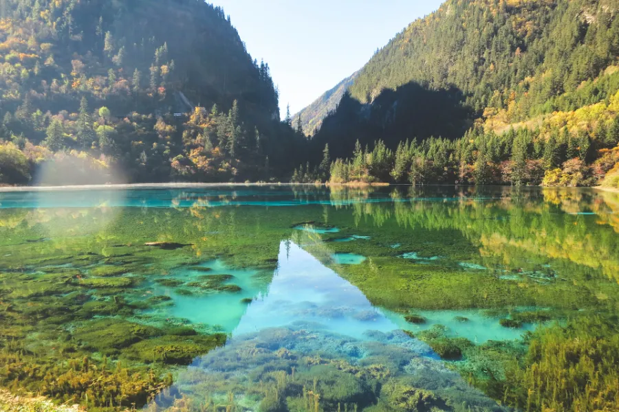 ho-gau-truc-cuu-trai-cau-1 Hồ Gấu Trúc Cửu Trại Câu