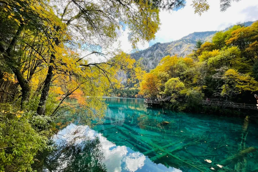 ho-gau-truc-cuu-trai-cau-2 Hồ Gấu Trúc Cửu Trại Câu