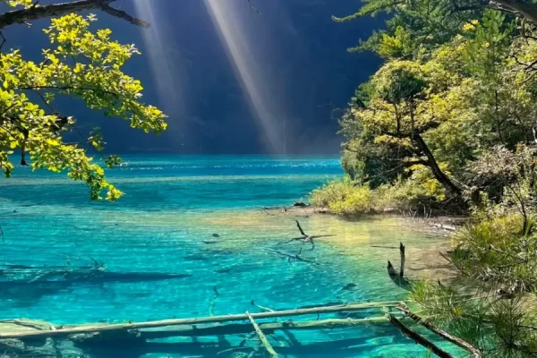 Hồ Thiên Nga Cửu Trại Câu