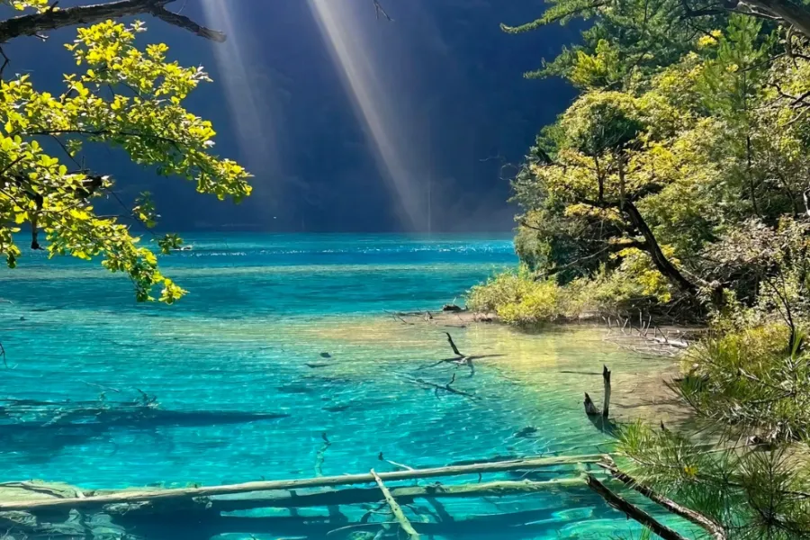 ho-thien-nga-cuu-trai-cau-1 Hồ Thiên Nga Cửu Trại Câu