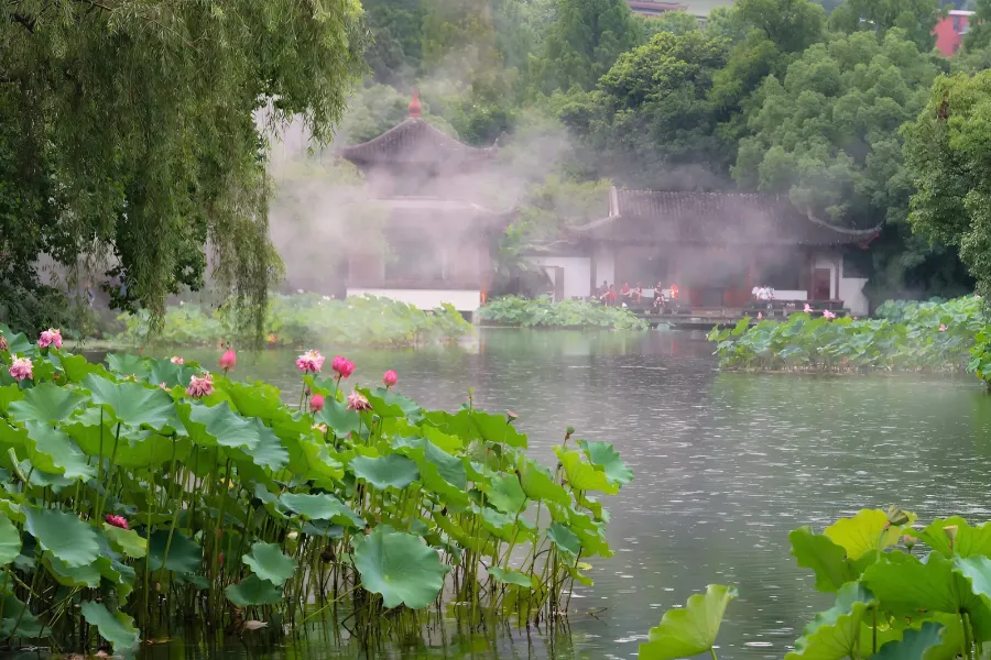 hoa-cang-quan-ngu Hoa Cảng Quan Ngư