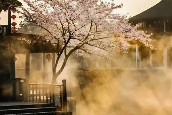 Ô Trấn Tây Sách