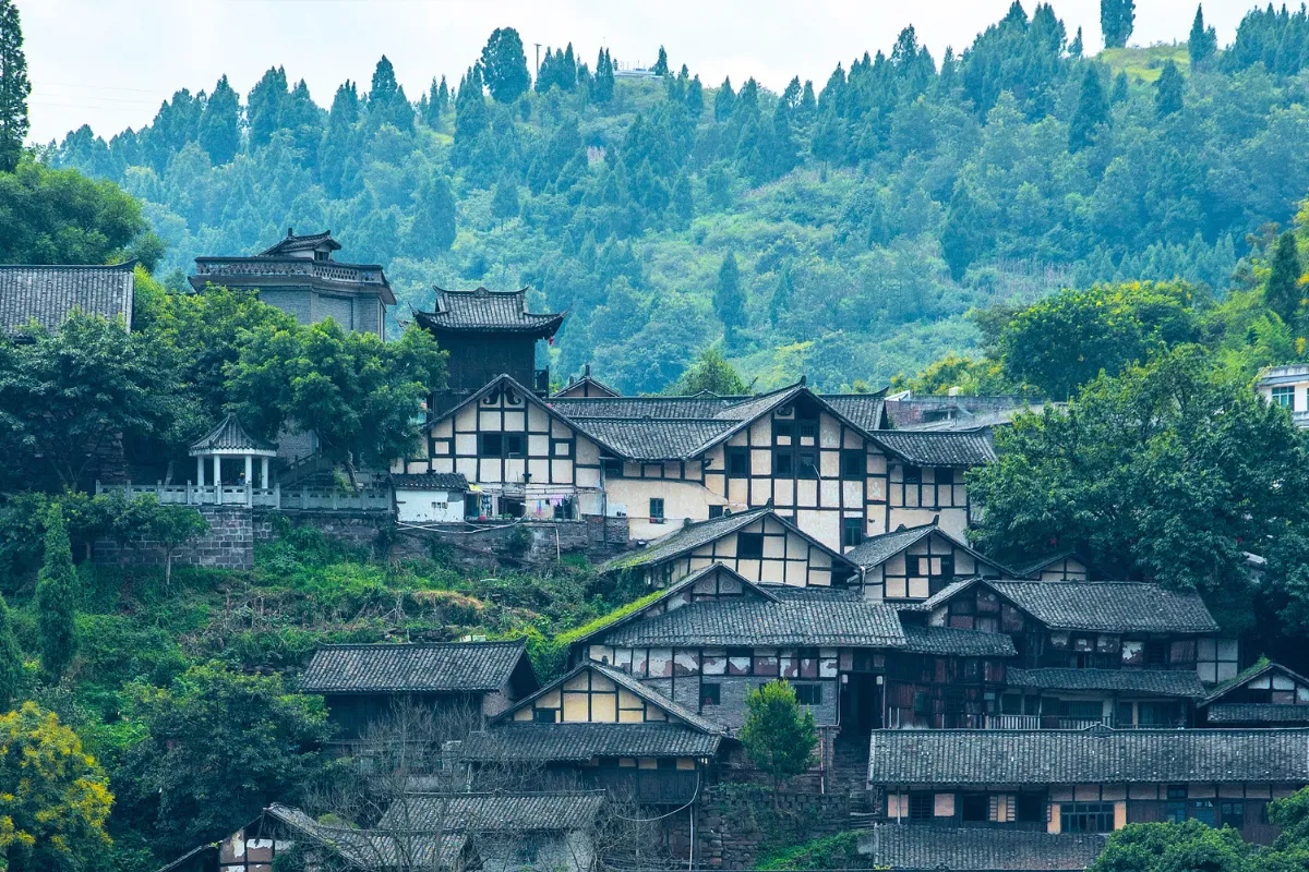 thai-binh-co-tran (4)_11zon