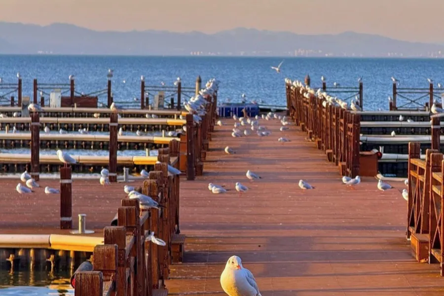 thanh-pho-con-minh-trung-quoc (1)