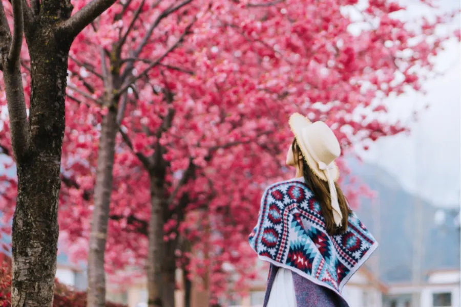 thanh-pho-con-minh-trung-quoc Tour du lịch Trung Quốc đường bộ khám phá Côn Minh