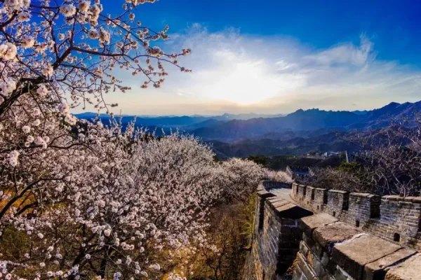 Vạn Lý Trường Thành